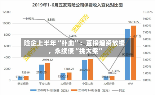 险企上半年“补血	”：直接增资放缓，永续债“挑大梁”-第3张图片