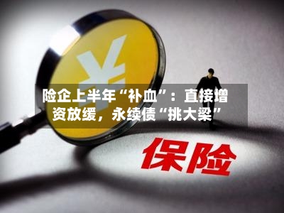 险企上半年“补血”：直接增资放缓，永续债“挑大梁”-第2张图片