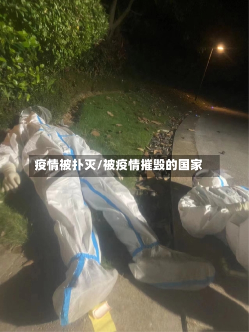 疫情被扑灭/被疫情摧毁的国家
