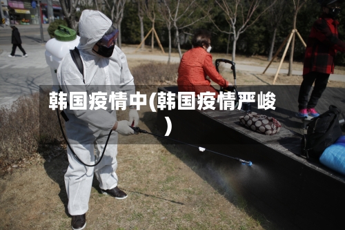 韩国疫情中(韩国疫情严峻)-第2张图片