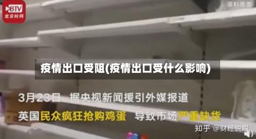 疫情出口受阻(疫情出口受什么影响)-第3张图片