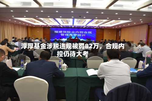 淳厚基金涉税违规被罚82万	，合规内控仍待大考-第2张图片