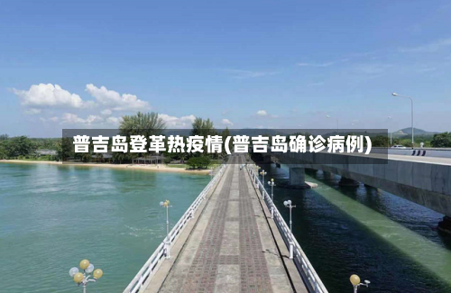 普吉岛登革热疫情(普吉岛确诊病例)-第2张图片