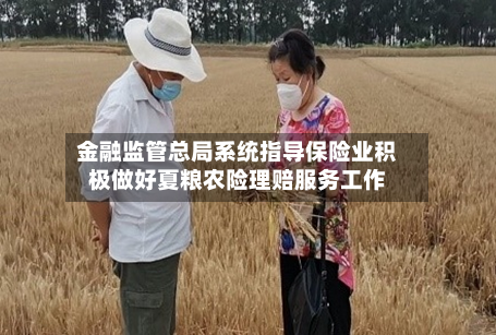 金融监管总局系统指导保险业积极做好夏粮农险理赔服务工作