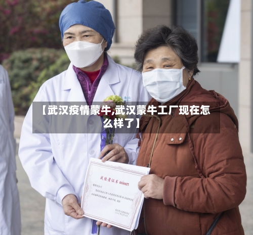 【武汉疫情蒙牛,武汉蒙牛工厂现在怎么样了】-第3张图片