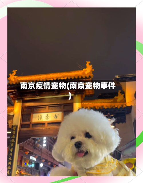 南京疫情宠物(南京宠物事件)