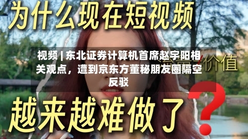 视频 | 东北证券计算机首席赵宇阳相关观点，遭到京东方董秘朋友圈隔空反驳-第2张图片