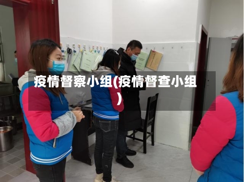 疫情督察小组(疫情督查小组)