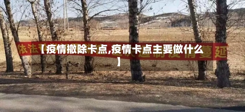 【疫情撤除卡点,疫情卡点主要做什么】-第2张图片