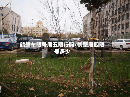 鹤壁车限号周五限行吗/鹤壁周四限号多少-第2张图片
