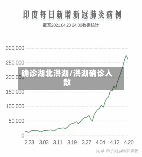 确诊湖北洪湖/洪湖确诊人数-第2张图片