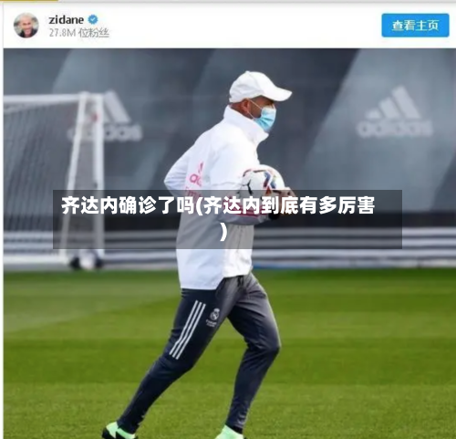 齐达内确诊了吗(齐达内到底有多厉害)-第2张图片