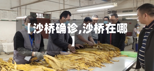 【沙桥确诊,沙桥在哪】