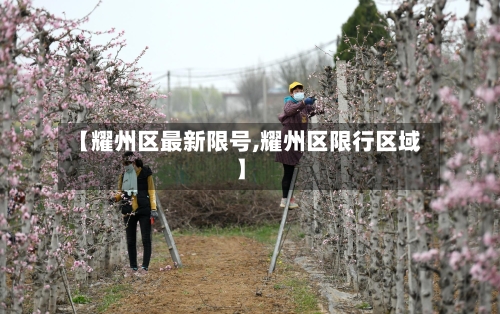 【耀州区最新限号,耀州区限行区域】-第3张图片