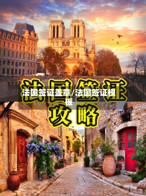 法国签证盖章/法国签证模板