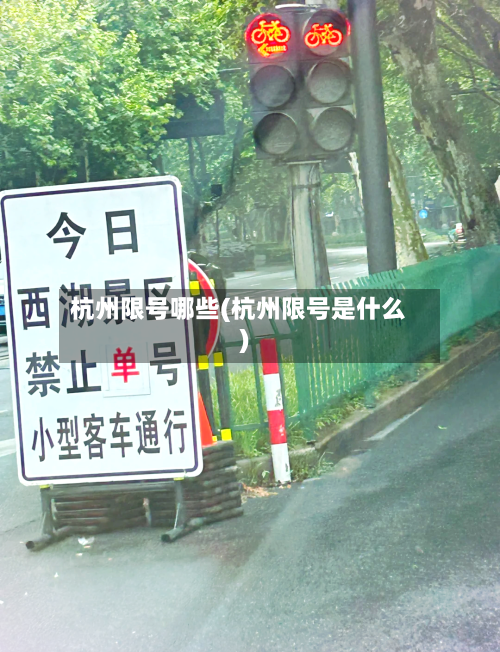 杭州限号哪些(杭州限号是什么)