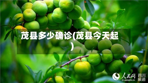 茂县多少确诊(茂县今天起)