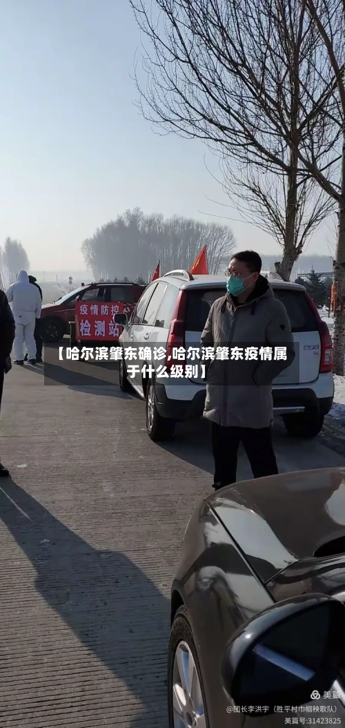 【哈尔滨肇东确诊,哈尔滨肇东疫情属于什么级别】-第2张图片