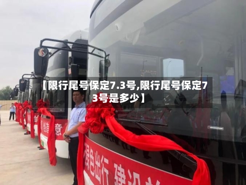 【限行尾号保定7.3号,限行尾号保定73号是多少】-第2张图片