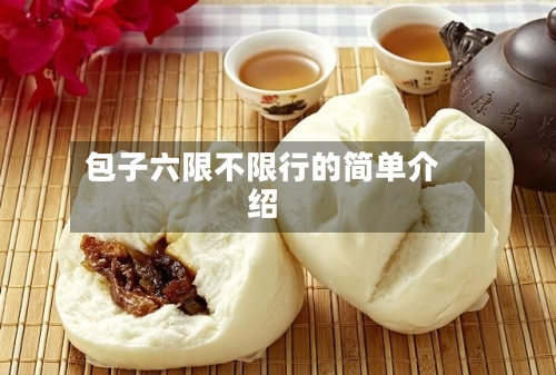 包子六限不限行的简单介绍