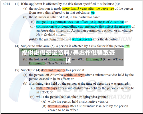 提供虚假签证资料/弄虚作假骗取签证-第2张图片