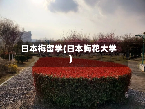 日本梅留学(日本梅花大学)-第2张图片