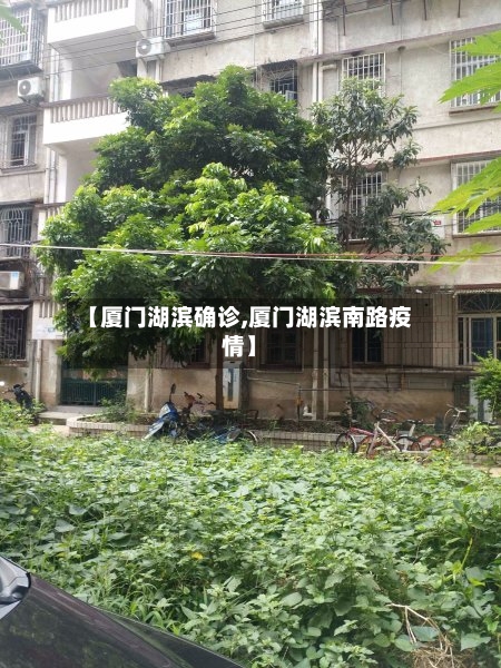 【厦门湖滨确诊,厦门湖滨南路疫情】