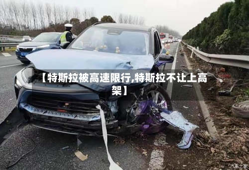 【特斯拉被高速限行,特斯拉不让上高架】-第2张图片