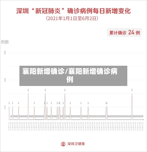 襄阳新增确诊/襄阳新增确诊病例