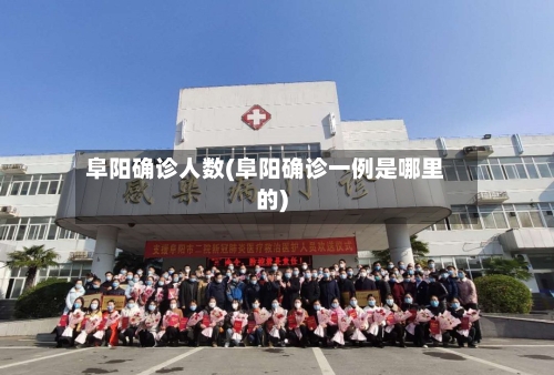 阜阳确诊人数(阜阳确诊一例是哪里的)