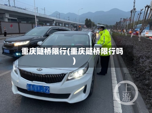 重庆隧桥限行(重庆隧桥限行吗)-第3张图片
