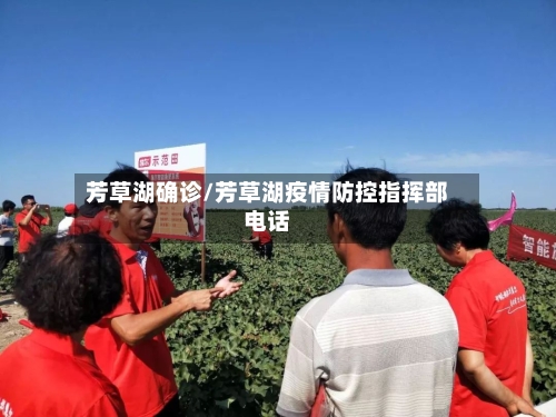 芳草湖确诊/芳草湖疫情防控指挥部电话